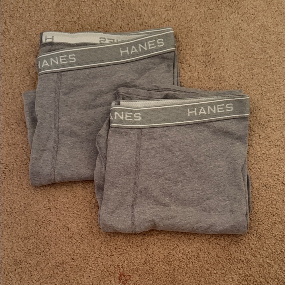 Hanes Men's Boxer Briefs in Gray